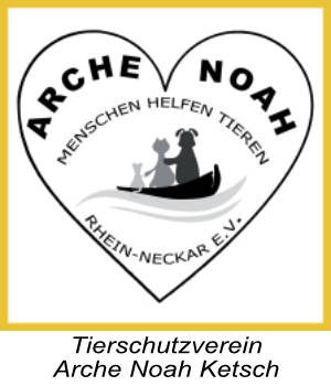 Arche Noah Ketsch logomitText