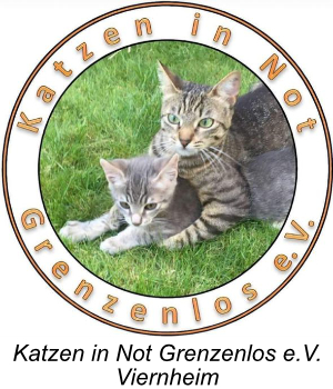 Katzen in Not mitText